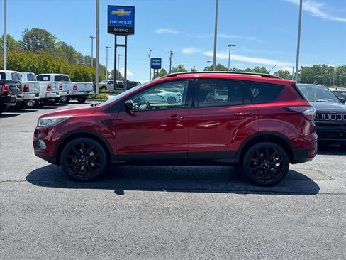 Used 2017 Ford Escape SE w/ SE Sport Appearance Package AWD/4WD image 6
