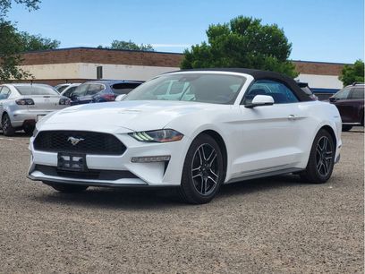 Used 2023 Ford Mustang Premium w/ Equipment Group 201A