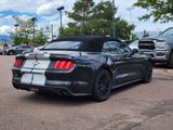 Used 2017 Ford Mustang Premium image 5