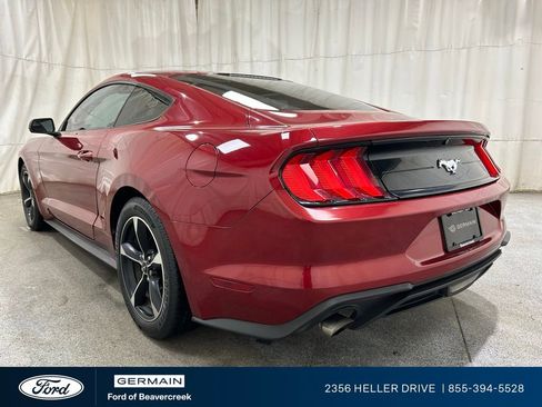 Used 2018 Ford Mustang Coupe image 6
