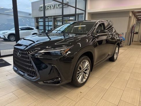 New 2026 Lexus NX 350 350h Luxury image 1