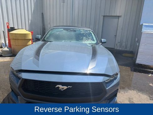 Used 2024 Ford Mustang Convertible w/ Wheel & Stripe Package RWD image 3
