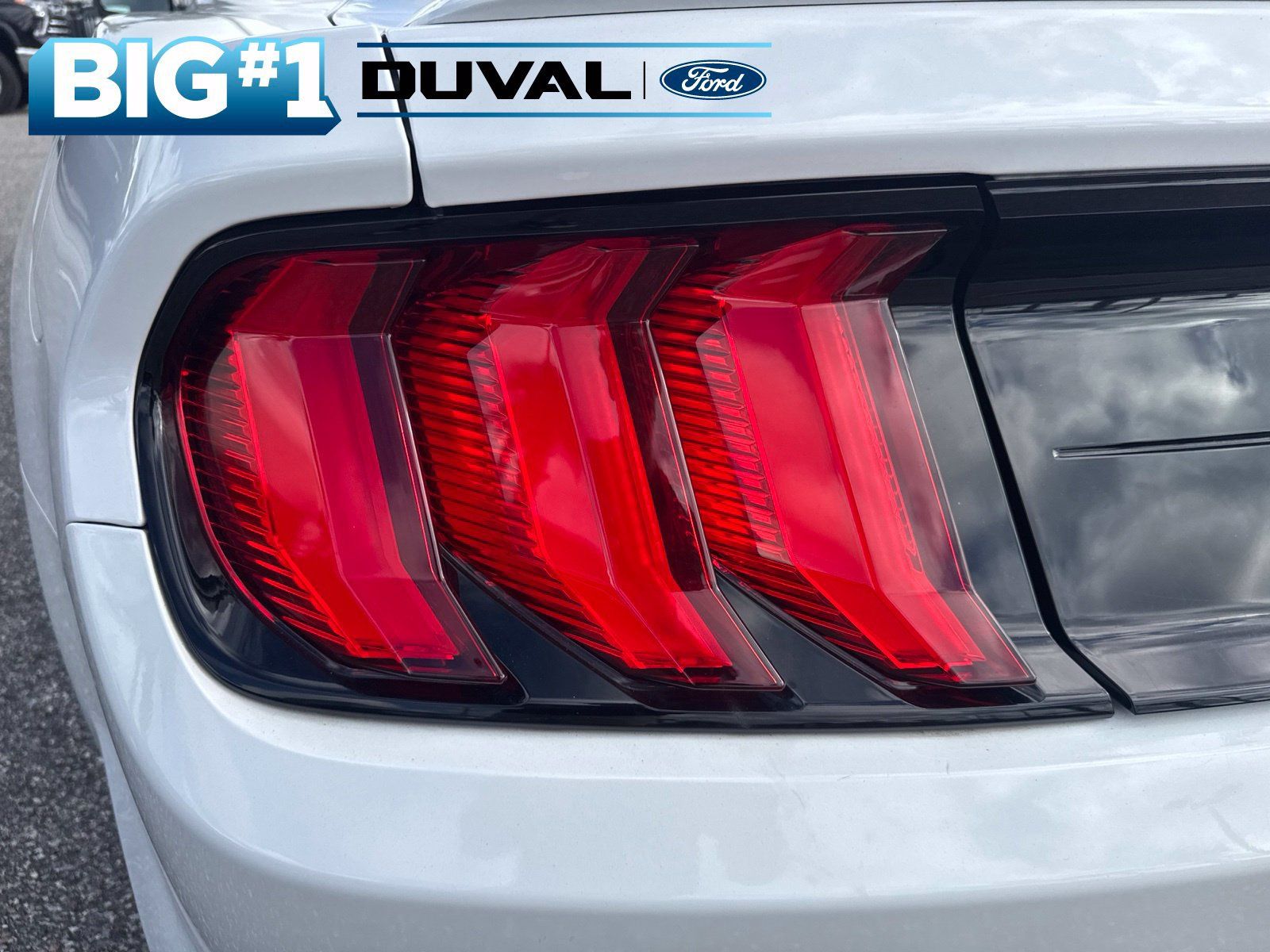 Used 2019 Ford Mustang Premium w/ Equipment Group 201A RWD image 6