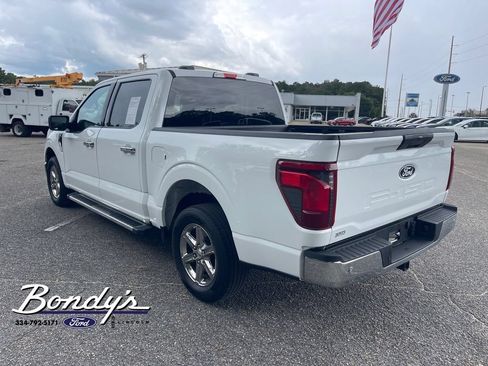 Used 2025 Ford F150 XLT w/ Equipment Group 301A Standard RWD image 12