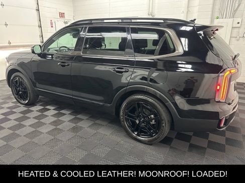 Used 2024 Kia Telluride SX X-Line AWD/4WD image 7