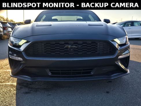 Used 2023 Ford Mustang EcoBoost w/ Equipment Group 101A image 2