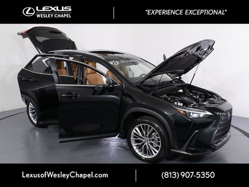 Used 2025 Lexus NX 350 AWD w/ Cold Area Package image 11