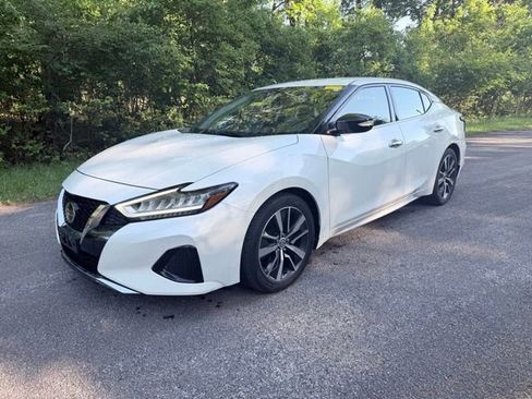Used 2019 Nissan Maxima 3.5 SV w/ Floor Mat Group FWD image 1
