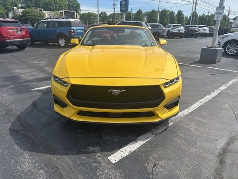 Used 2024 Ford Mustang Premium RWD image 2