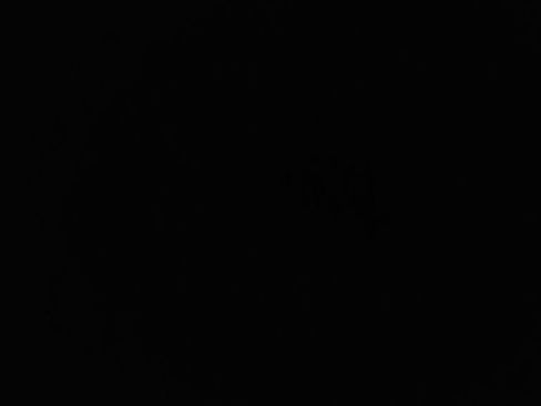 Used 2024 Genesis GV80 3.5T image 10