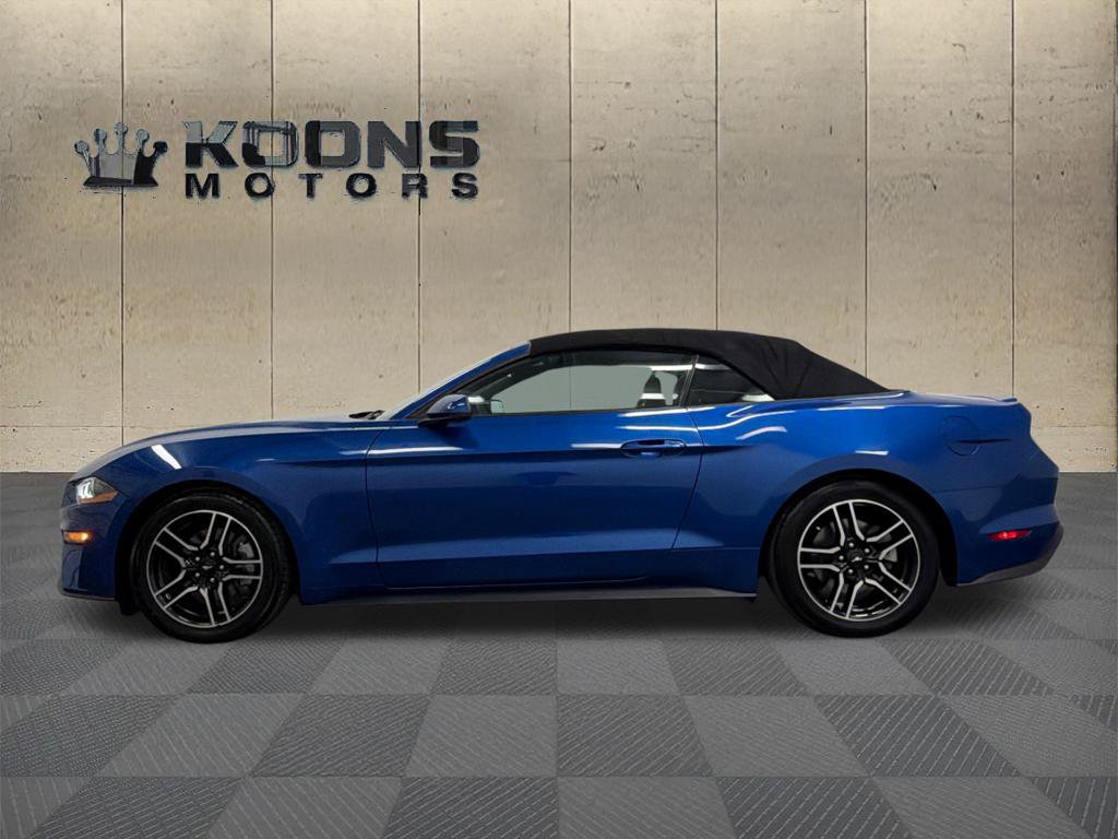 Used 2018 Ford Mustang Premium w/ Equipment Group 201A RWD image 4