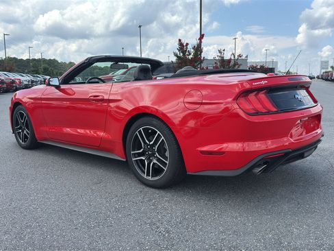 Used 2019 Ford Mustang Premium RWD image 7