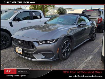 Used 2024 Ford Mustang Premium