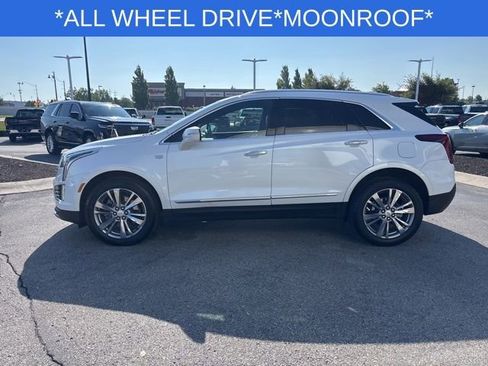 Used 2024 Cadillac XT5 Premium Luxury AWD/4WD image 8