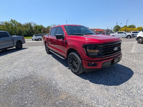 Used 2024 Ford F150 XLT w/ Equipment Group 302A MID AWD/4WD image 11