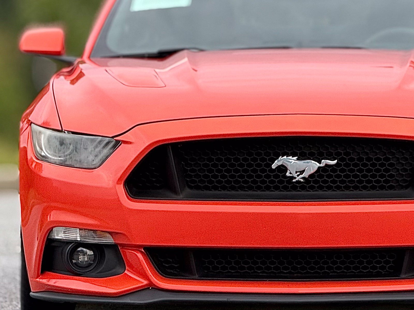 Used 2016 Ford Mustang GT RWD image 14