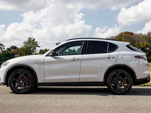 New 2025 Alfa Romeo Stelvio Sprint image 6