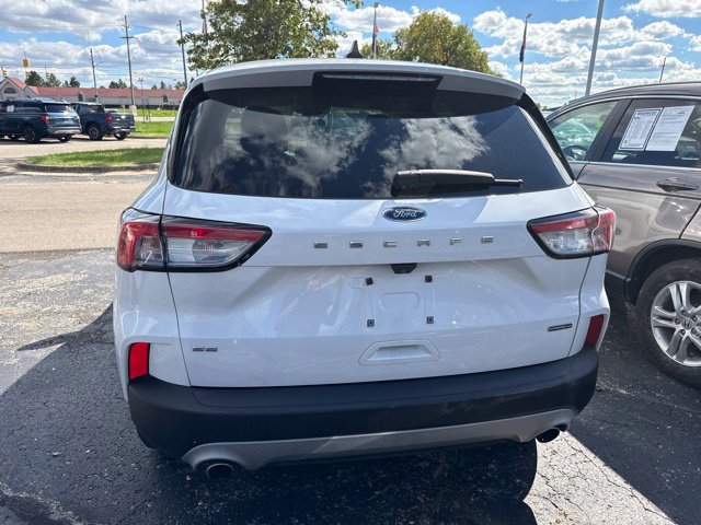 Used 2020 Ford Escape SE Sport AWD/4WD image 5