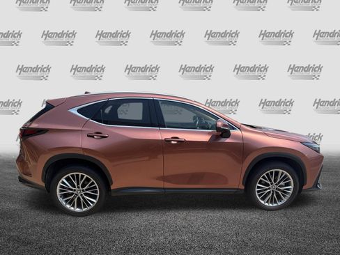 Certified 2025 Lexus NX 350 AWD w/ Cold Area Package image 11