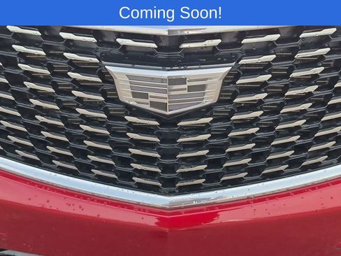 Used 2024 Cadillac XT5 Premium Luxury AWD/4WD image 11