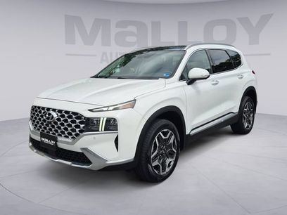 Used 2023 Hyundai Santa Fe Limited