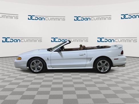 Used 1998 Ford Mustang Cobra image 5