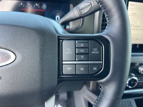 New 2026 Ford F250 Platinum image 16