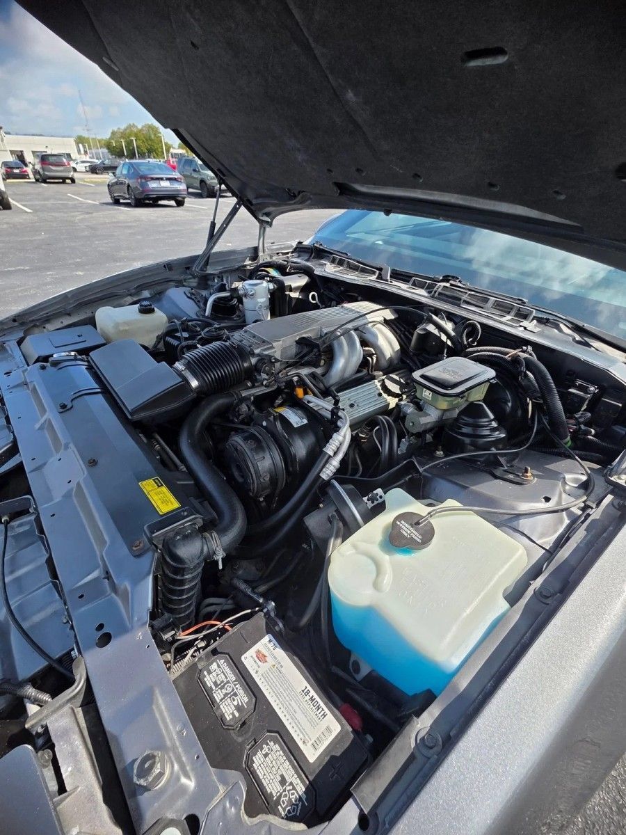 Used 1987 Pontiac Firebird Trans Am RWD image 27