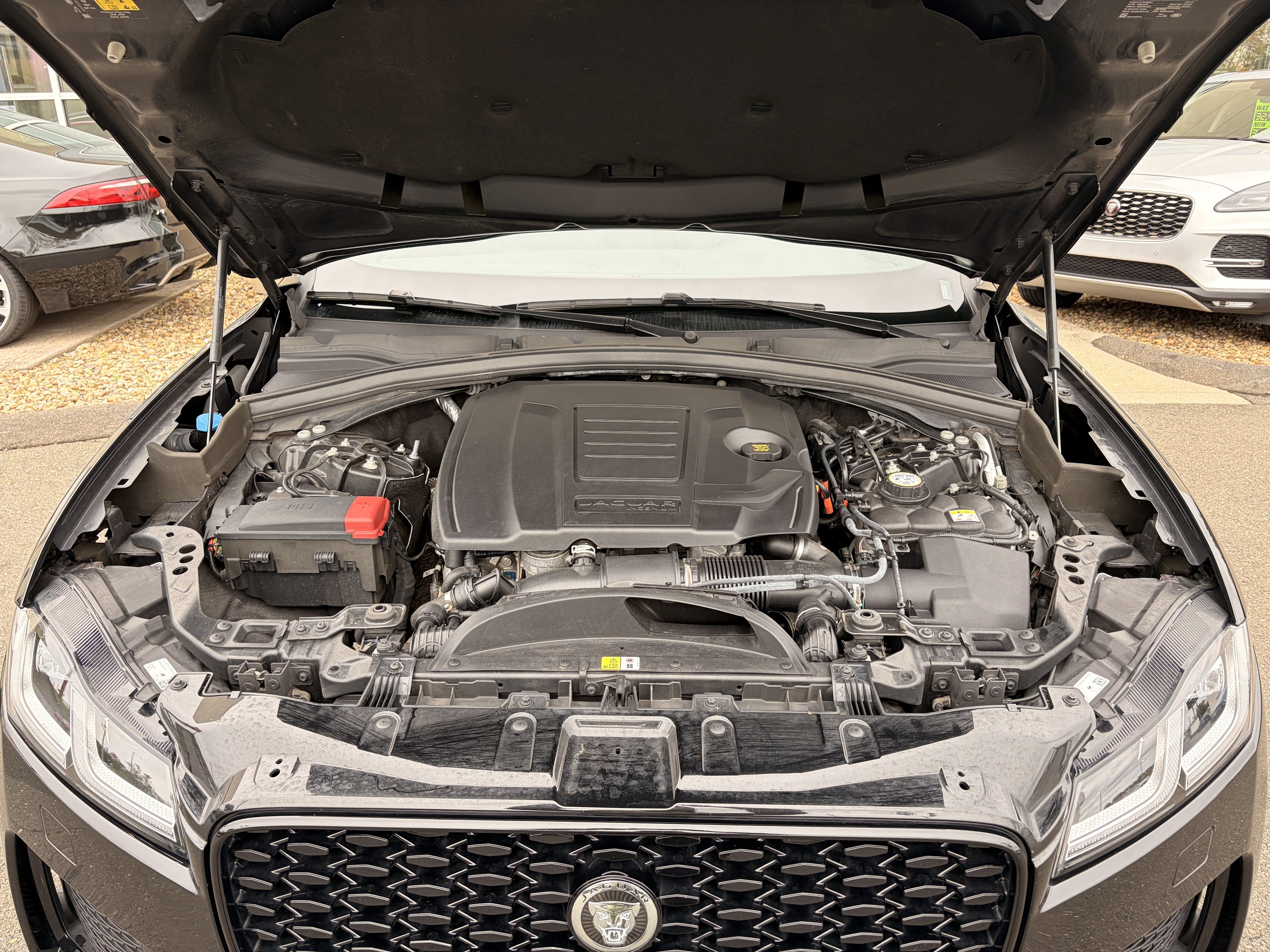 Used 2024 Jaguar F-PACE R-Dynamic S AWD/4WD image 33