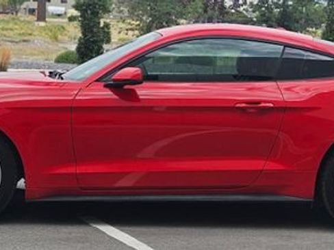 Certified 2019 Ford Mustang Premium RWD image 2