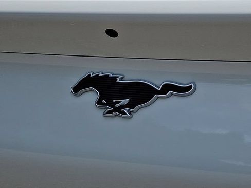 Used 2021 Ford Mustang Mach-E California Route 1 RWD image 33