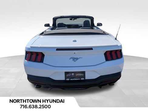 Used 2025 Ford Mustang Premium RWD image 13