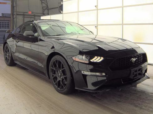 Used 2019 Ford Mustang Premium w/ Ecoboost Performance Package image 5