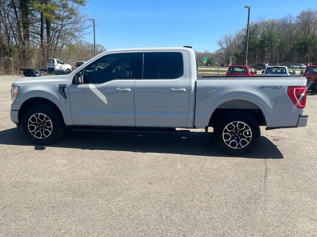Used 2023 Ford F150 XLT w/ Equipment Group 302A High AWD/4WD image 8