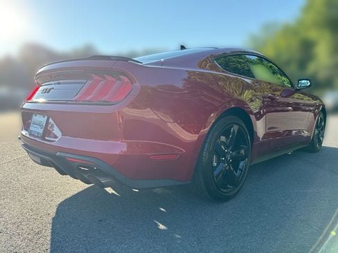 Certified 2023 Ford Mustang GT Premium w/ Mustang Nite Pony Package RWD image 8