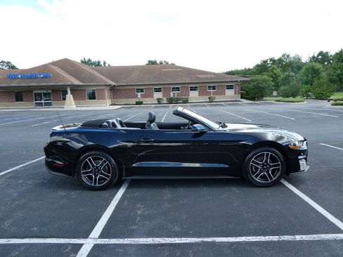 Used 2019 Ford Mustang Premium RWD image 11
