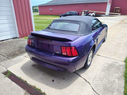 Used 2000 Ford Mustang Convertible RWD image 3
