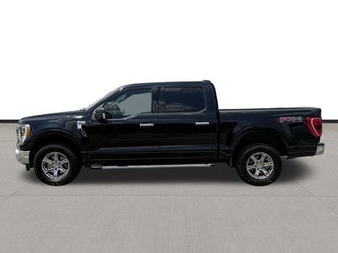 Used 2021 Ford F150 XLT w/ Equipment Group 302A High AWD/4WD image 8
