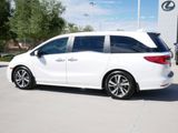 Used 2023 Honda Odyssey Touring image 5