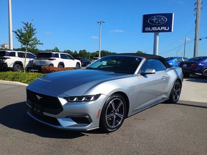 Used 2024 Ford Mustang Premium