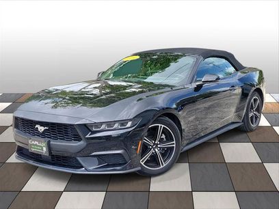 Used 2024 Ford Mustang Premium