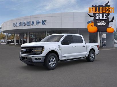 New 2025 Ford F150 XLT w/ Equipment Group 301A Standard
