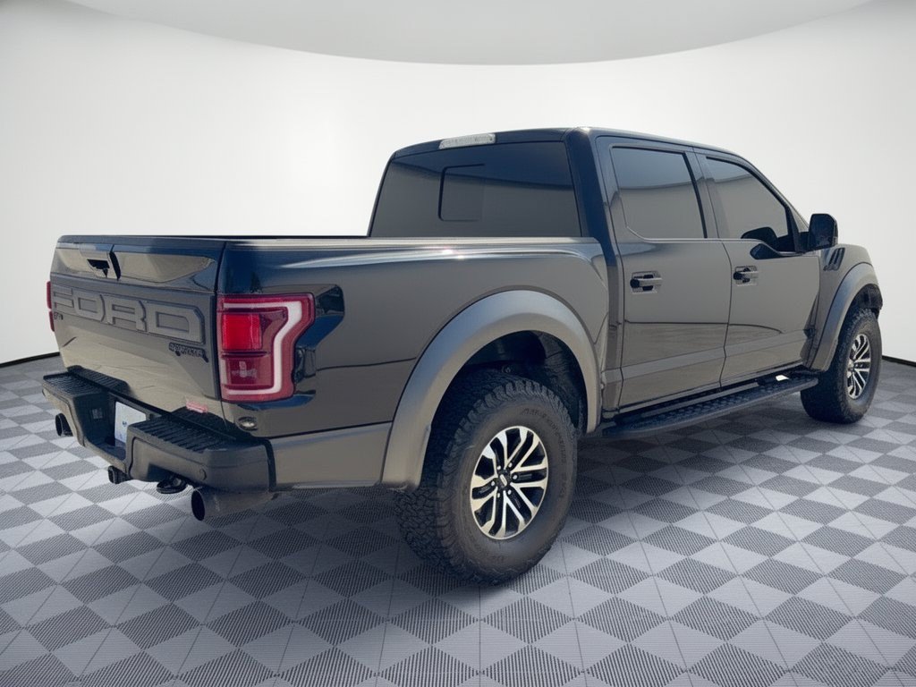 Used 2019 Ford F150 Raptor w/ Equipment Group 802A Luxury AWD/4WD image 9