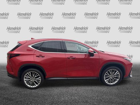 Used 2025 Lexus NX 350 AWD w/ Cold Area Package image 11