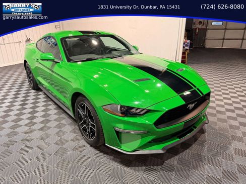 Used 2019 Ford Mustang Coupe w/ Equipment Group 101A image 3