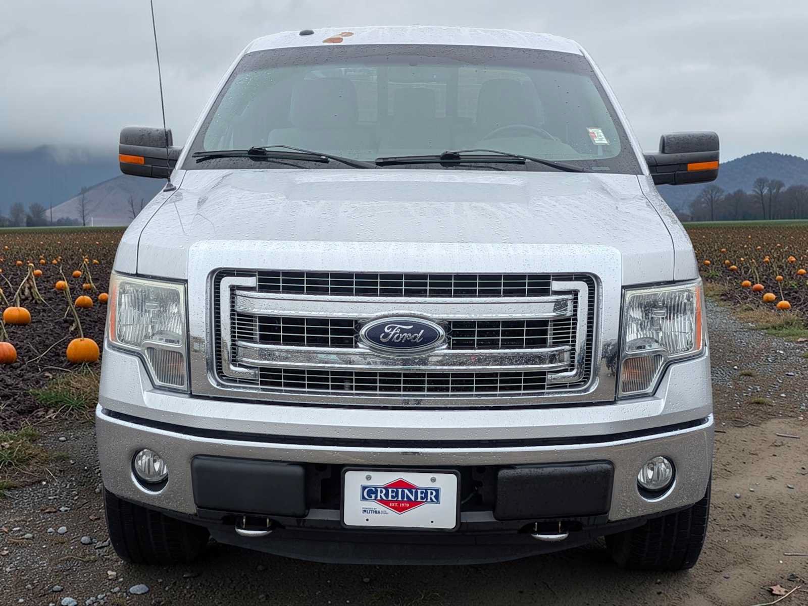 Used 2014 Ford F150 XLT w/ Equipment Group 302A Luxury AWD/4WD image 9