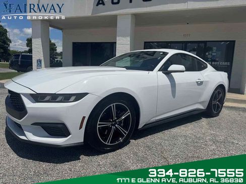 Used 2024 Ford Mustang Premium image 2