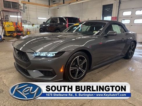 Used 2025 Ford Mustang Premium RWD image 1