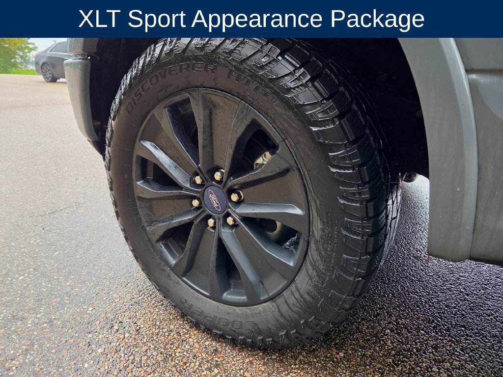 Used 2019 Ford F150 XLT w/ Equipment Group 302A Luxury AWD/4WD image 12