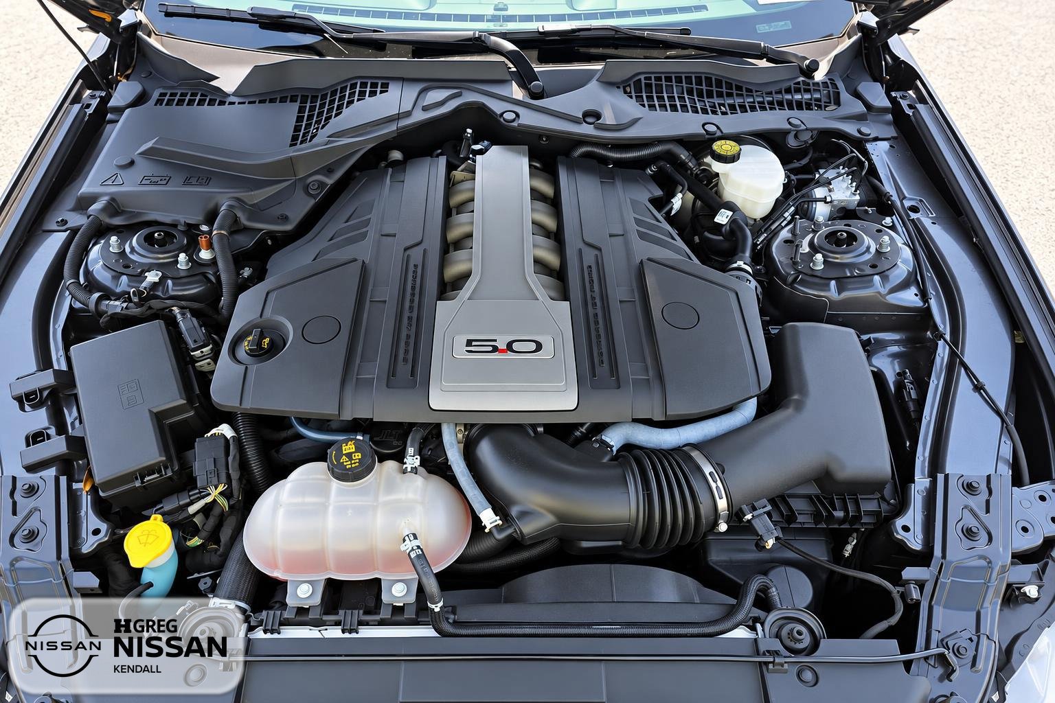 Used 2019 Ford Mustang GT Premium w/ Equipment Group 401A RWD image 11